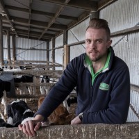 Stuff Heaven 3 undefined